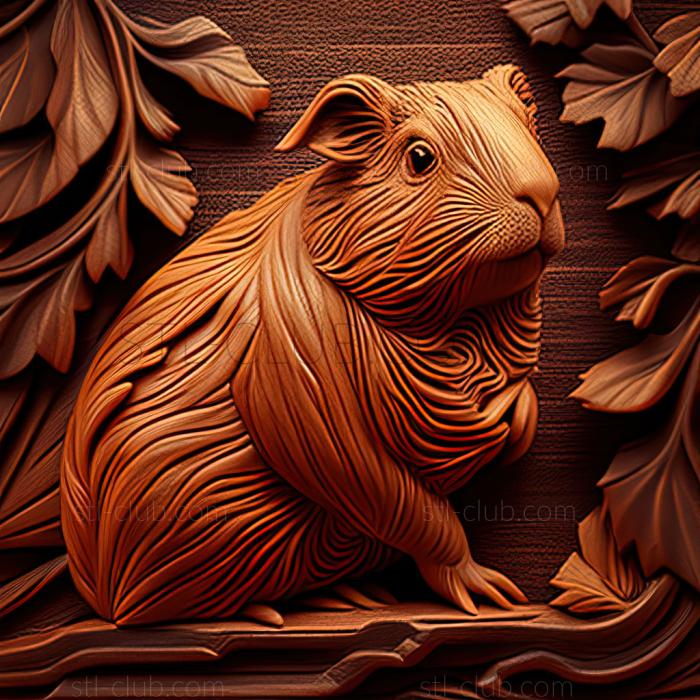 st Guinea pig